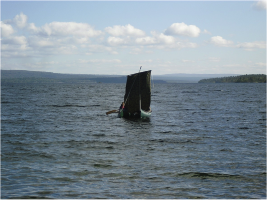 Båt