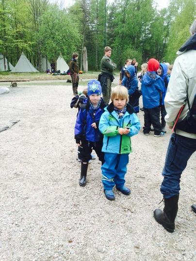 bever 2014