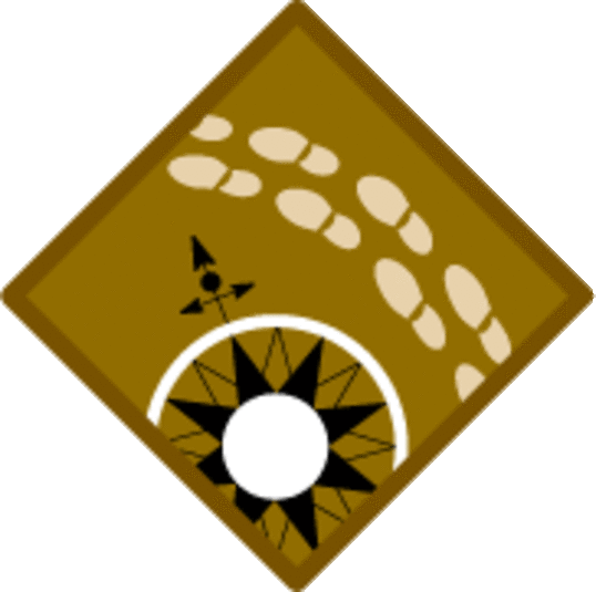 Bever_1