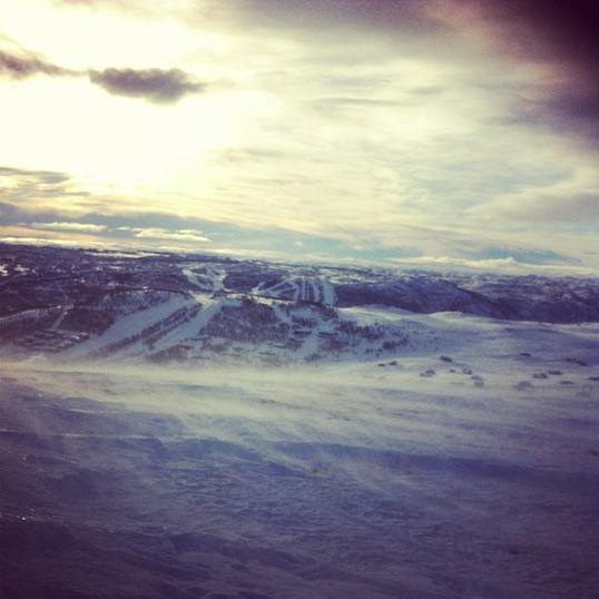 Camp Winter