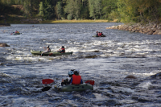 DSC02567_web