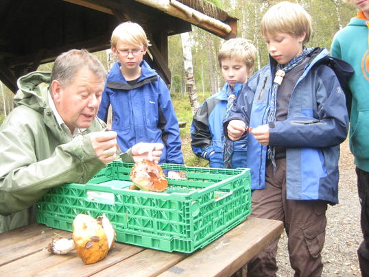Instruksjon om sopp