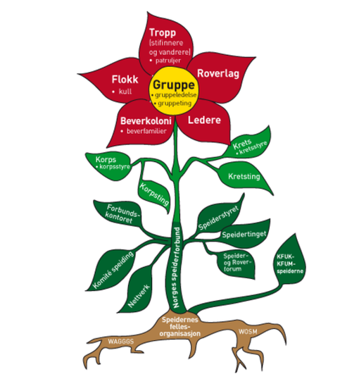 Organisasjonsblomsten