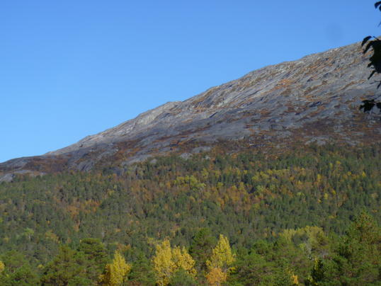 P1020803
