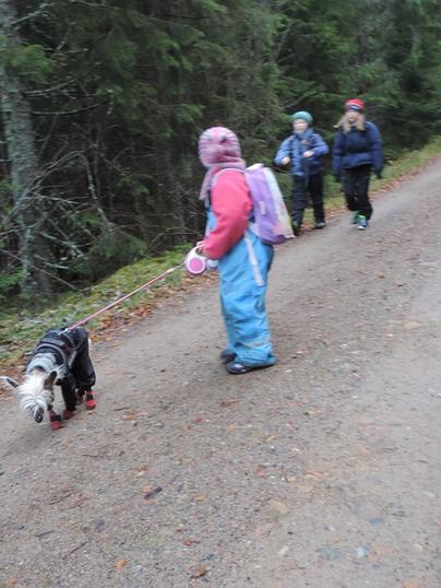 påturmedhund