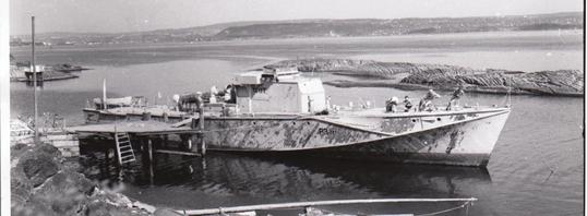 Teist 1959