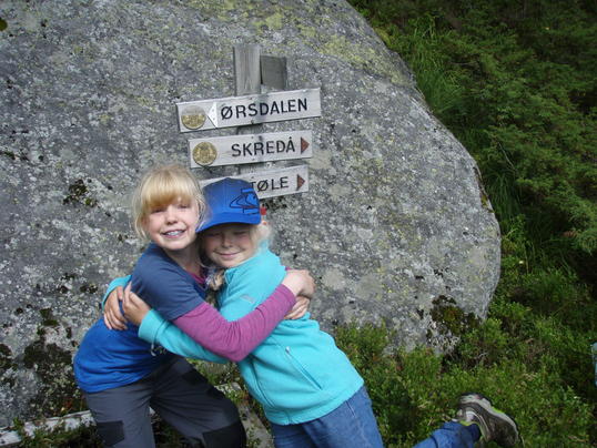 To gode venner